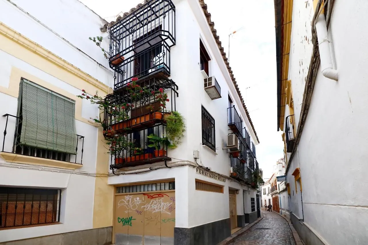 Zafiro Apartment&Parking In The Historical Centre Cordoba